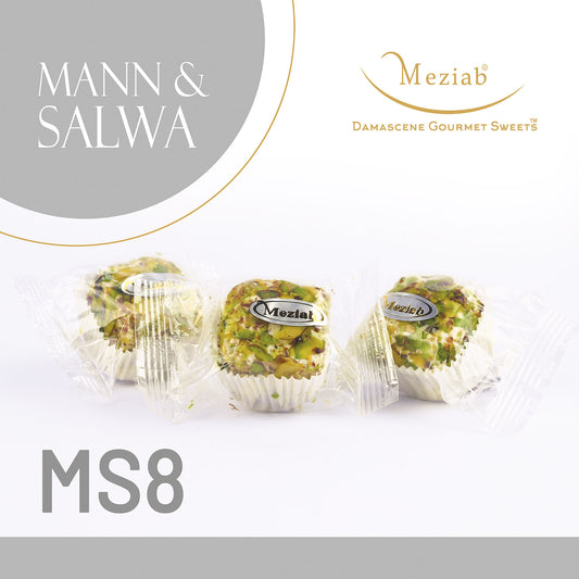 MS8- Mann & Salwa